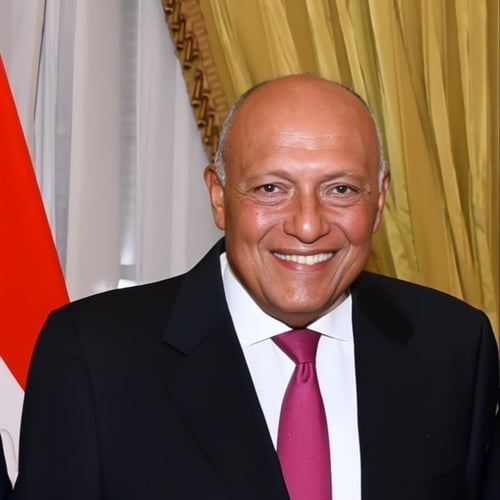 Sameh Hassan Shoukry Profile Picture